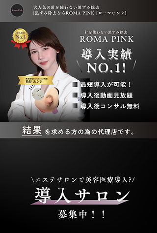 導入数NO.1】ローマピンク | ROMAPINK ローマピンク公式代理店 導入数NO.1】ローマピンク | ROMAPINK ローマピンク公式代理店